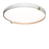 Светильник настенно-потолочный Sonex Olidi White 7646/DL