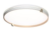 Светильник потолочный Sonex Olidi White 7646/EL