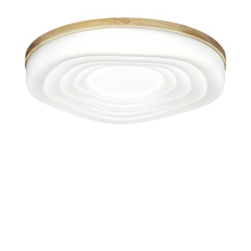 Светильник потолочный Sonex Fass Wood 7674/EL