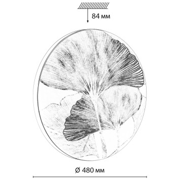 Светильник потолочный Sonex Floren 7747/EL-7