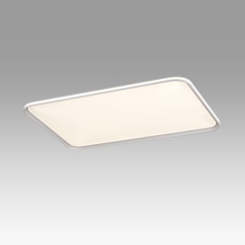 Светильник потолочный Sonex Beta 7751/130L-2