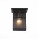 Уличный настенный светильник ST-Luce Glazgo SL079.401.01