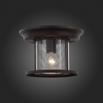 Уличный потолочный светильник ST-Luce Lastero SL080.402.01-6