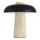 Лампа настольная ST-Luce Earthy SL1194.424.01