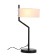 Лампа настольная ST-Luce Foresta SL483.404.01