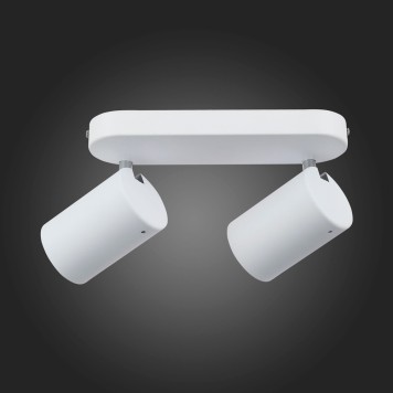 Спот ST-Luce Fanale SL597.501.02-4