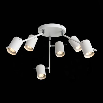 Светильник потолочный ST-Luce Fanale SL597.502.06-4