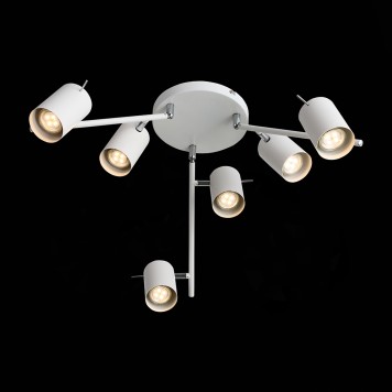 Светильник потолочный ST-Luce Fanale SL597.502.06-7