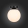 Светильник настенно-потолочный ST-Luce Acini SL717.401.01