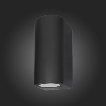 Уличный настенный светильник ST-Luce Borgo SL9001.401.02-2