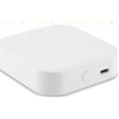 Wi-Fi конвертер ST-Luce Skyline 220V ST015.500.97 Wi-Fi конвертер ST-Luce Skyline 220V ST015.500.97