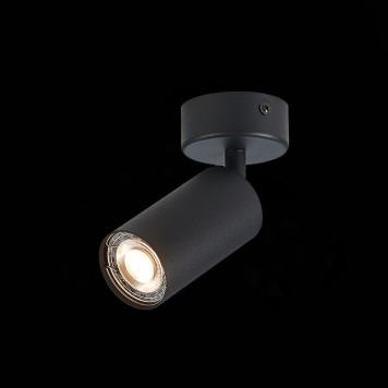 Светильник точечный ST-Luce Dario ST303.402.01-2