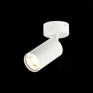 Светильник точечный ST-Luce Dario ST303.502.01-3
