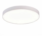 Светильник потолочный ST-Luce ST606.542.96