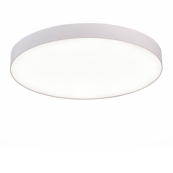 Светильник потолочный ST-Luce ST606.542.96