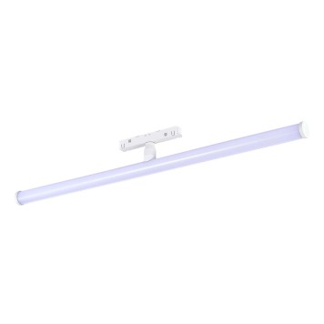 Трековый светильник ST-Luce Skyline 48V ST803.536.10-5