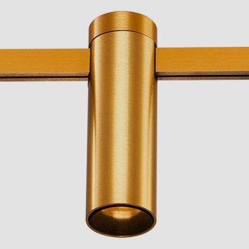 Трековый светильник ST-Luce Farm ST810.246.05-2