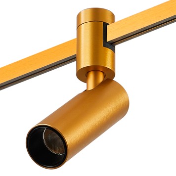 Трековый светильник ST-Luce Farm ST811.206.05-2