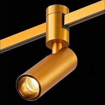 Трековый светильник ST-Luce Farm ST811.206.05-6