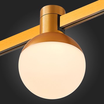 Трековый светильник ST-Luce Farm ST815.206.05-5