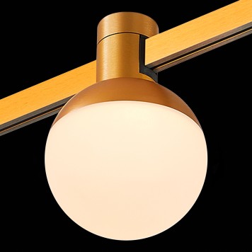 Трековый светильник ST-Luce Farm ST815.206.05-6