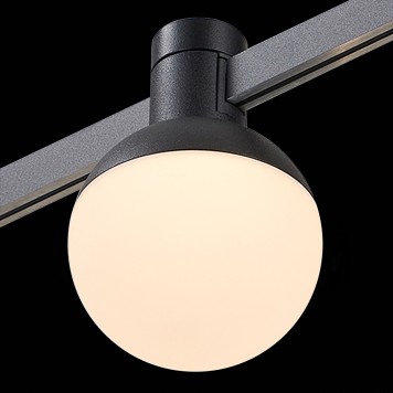 Трековый светильник ST-Luce Farm ST815.406.05-5