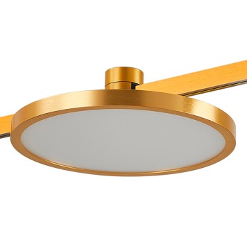 Трековый светильник ST-Luce Farm ST818.206.12-2