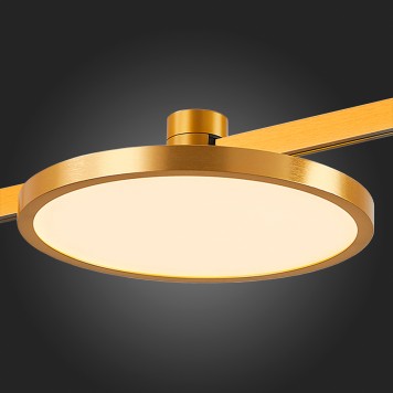 Трековый светильник ST-Luce Farm ST818.206.12-4