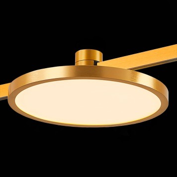 Трековый светильник ST-Luce Farm ST818.206.12-5