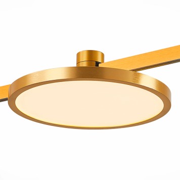 Трековый светильник ST-Luce Farm ST818.206.12