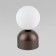 Лампа настольная TK Lighting Miki 16043