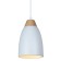 Люстра Toplight Leah TL0724H-2W