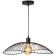 Люстра Toplight Agnes TL1196H-01BK