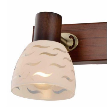 Спот Toplight Shayla TL3730Y-02BB-1