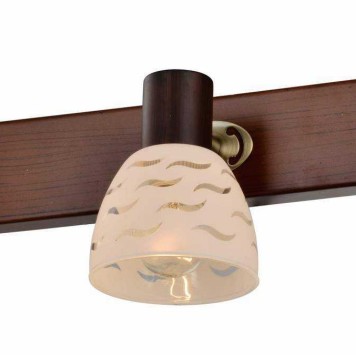 Спот Toplight Shayla TL3730Y-03BB-1