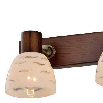 Спот Toplight Shayla TL3730Y-03BB-2