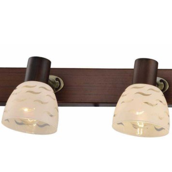 Спот Toplight Shayla TL3730Y-04BB-1