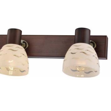 Спот Toplight Shayla TL3730Y-04BB-2