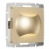 Встраиваемая LED подсветка МУН Werkel шампань W1154511