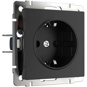 Розетка с заземлением и шторками Werkel черный матовый W1171108