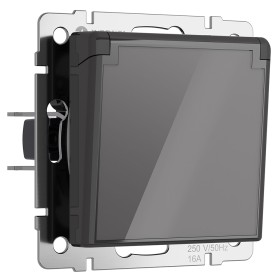 Розетка с заземлением, крышкой и шторками Werkel графит акрил W1171244