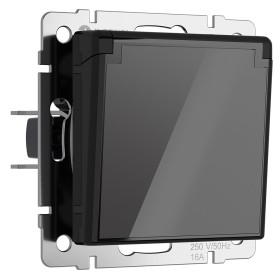 Розетка с заземлением, крышкой и шторками Werkel черный акрил W1171248