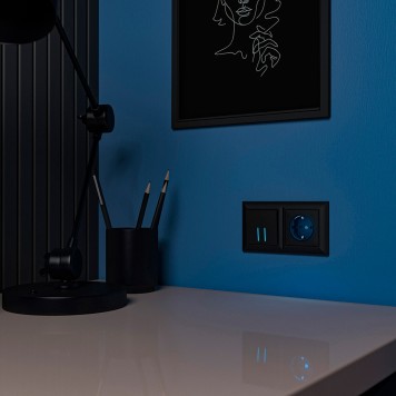 Розетка с подсветкой Werkel черный матовый W1171408-1