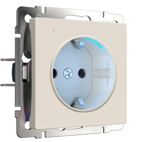 Розетка с подсветкой Werkel айвори матовый W1171462