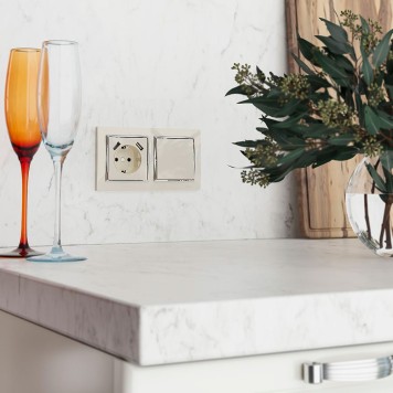 Розетка с заземлением, шторками и USBх2 Werkel слоновая кость W1171503-1