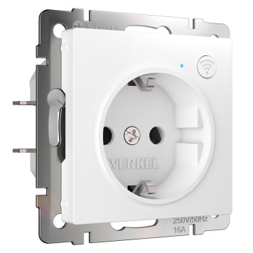 Умная встраиваемая розетка с заземлением и защитными шторками Werkel белый W1171601