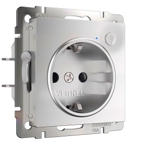 Умная встраиваемая розетка с заземлением и защитными шторками Werkel серебряный W1171606