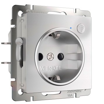 Умная встраиваемая розетка с заземлением и защитными шторками Werkel серебряный W1171606