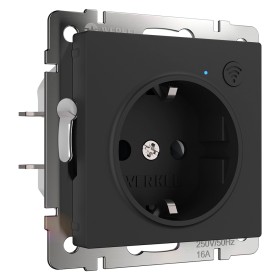 Умная встраиваемая розетка с заземлением и защитными шторками Werkel черный матовый W1171608