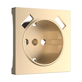 Накладка для розетки USB Werkel шампань W1179511